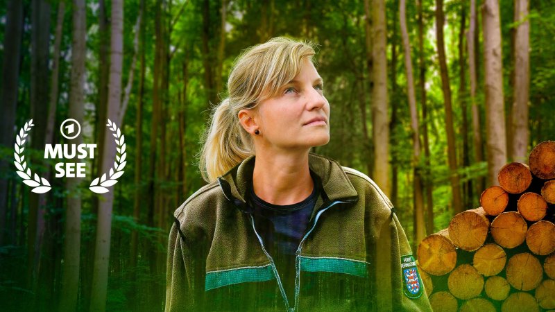 Mein Wald &middot; F&uuml;nf Jahre zwischen Mythos und Holz