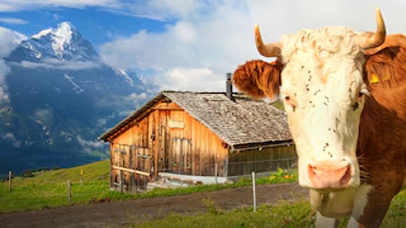 Coolcation | Reisen mit k&uuml;hlem Kopf