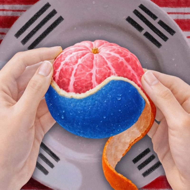 Zwei Hände schälen eine Mandarine, deren Fruchtfleisch und Schale in den Farben Rot, Weiß und Blau gestaltet sind. Ein Stück der orangefarbenen Schale hängt nach unten. Im Hintergrund ist eine graue Fläche zu sehen, überlagert von Elementen der südkoreanischen Flagge mit schwarzen Trigrammen und roten Bereichen.